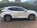 Lexus NX 450h+ NX 450h  E-Four Luxury Aut. Luxury Weiß - thumbnail 4