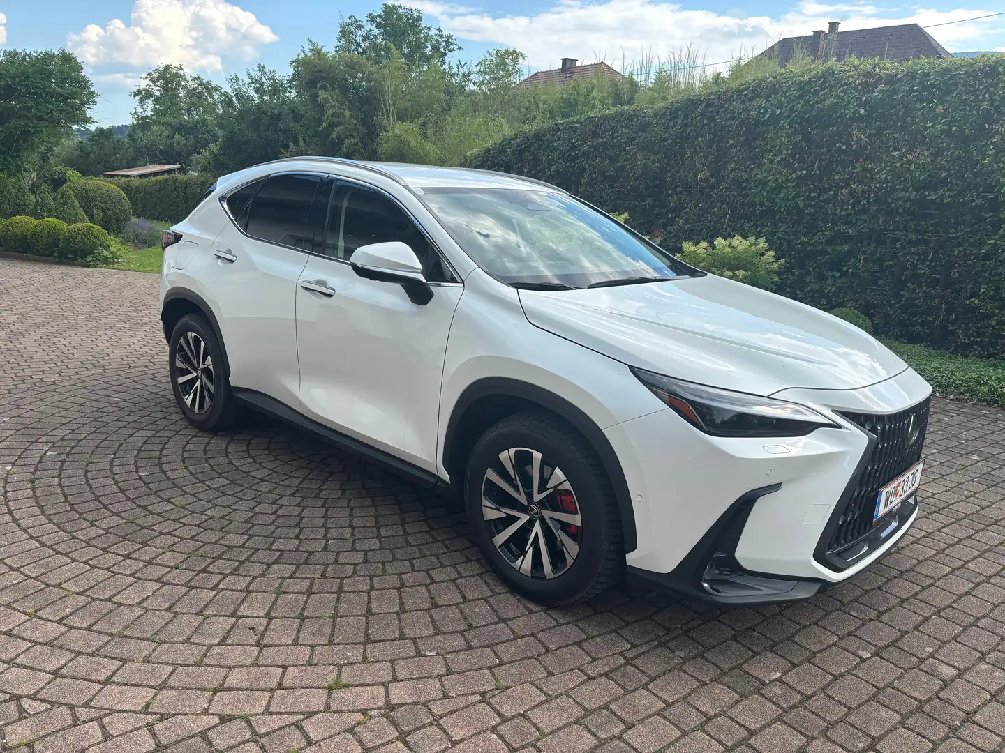 Lexus NX 450h+ NX 450h  E-Four Luxury Aut. Luxury Weiß - 2