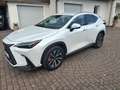 Lexus NX 450h+ NX 450h  E-Four Luxury Aut. Luxury Weiß - thumbnail 3
