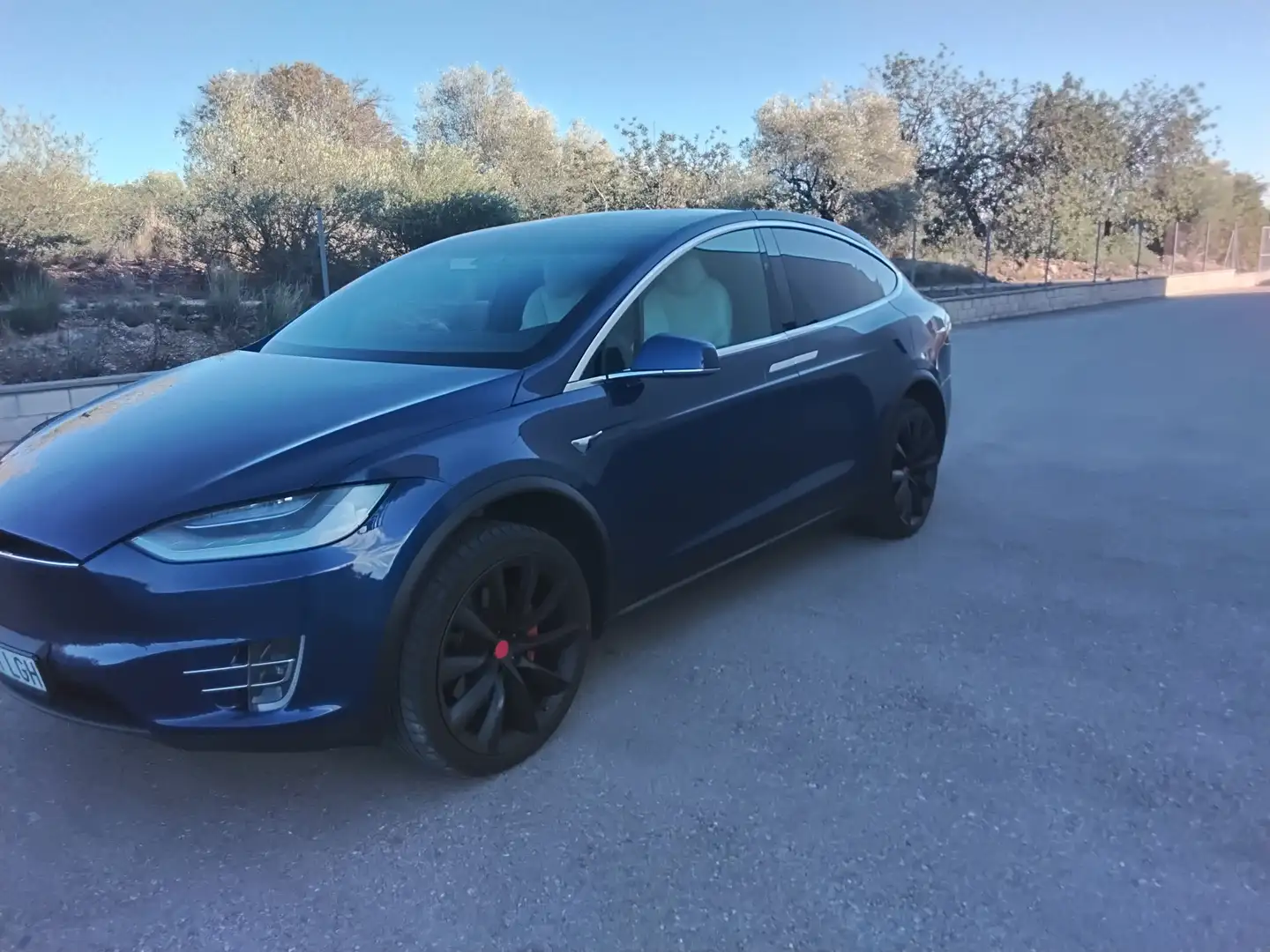 Tesla Model X Model X Long Range AWD Azul - 1