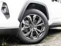 Toyota RAV 4 RAV4 2.5l Hybrid Navi, DAB, RFK, Carplay Weiß - thumbnail 4