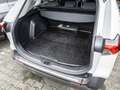Toyota RAV 4 RAV4 2.5l Hybrid Navi, DAB, RFK, Carplay Weiß - thumbnail 19