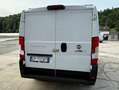 Fiat Fiat Ducato 30 2.2 Mjt 140CV PC-TNFurgone serie 9 Bianco - thumbnail 5