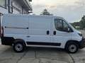 Fiat Fiat Ducato 30 2.2 Mjt 140CV PC-TNFurgone serie 9 Bianco - thumbnail 4