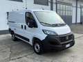 Fiat Fiat Ducato 30 2.2 Mjt 140CV PC-TNFurgone serie 9 Bianco - thumbnail 3