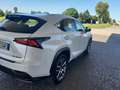 Lexus NX 300 NX 300h 2.5 Executive 4wd cvt Bianco - thumbnail 4