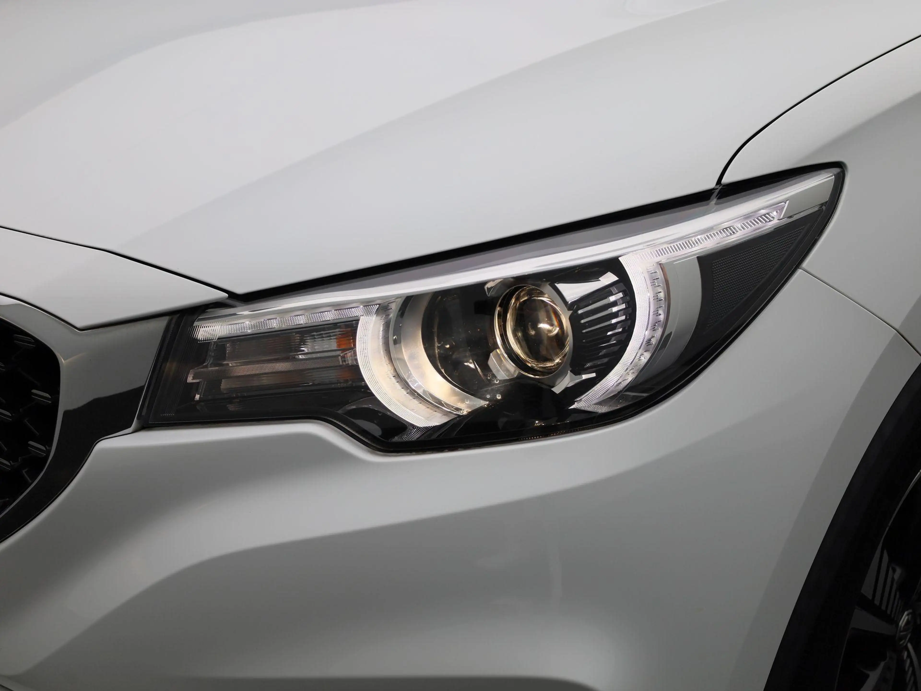 MG ZS EV Luxury 45 kWh — photo 15