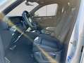Volkswagen Tiguan R-Line 2,0 l TDI DSG,PANO-DACH,AHK,DCC Weiß - thumbnail 9