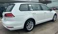 Volkswagen Golf Variant 2.0 tdi Business 150cv dsg “PDC-CRUISE” White - thumbnail 6