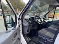 Ford Transit FORD TRANSIT 2.0 EcoBlue motore nuovo con garanzia Bianco - thumbnail 9