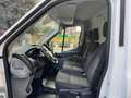Ford Transit FORD TRANSIT 2.0 EcoBlue motore nuovo con garanzia Bianco - thumbnail 8