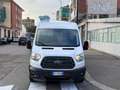 Ford Transit FORD TRANSIT 2.0 EcoBlue motore nuovo con garanzia Bianco - thumbnail 2