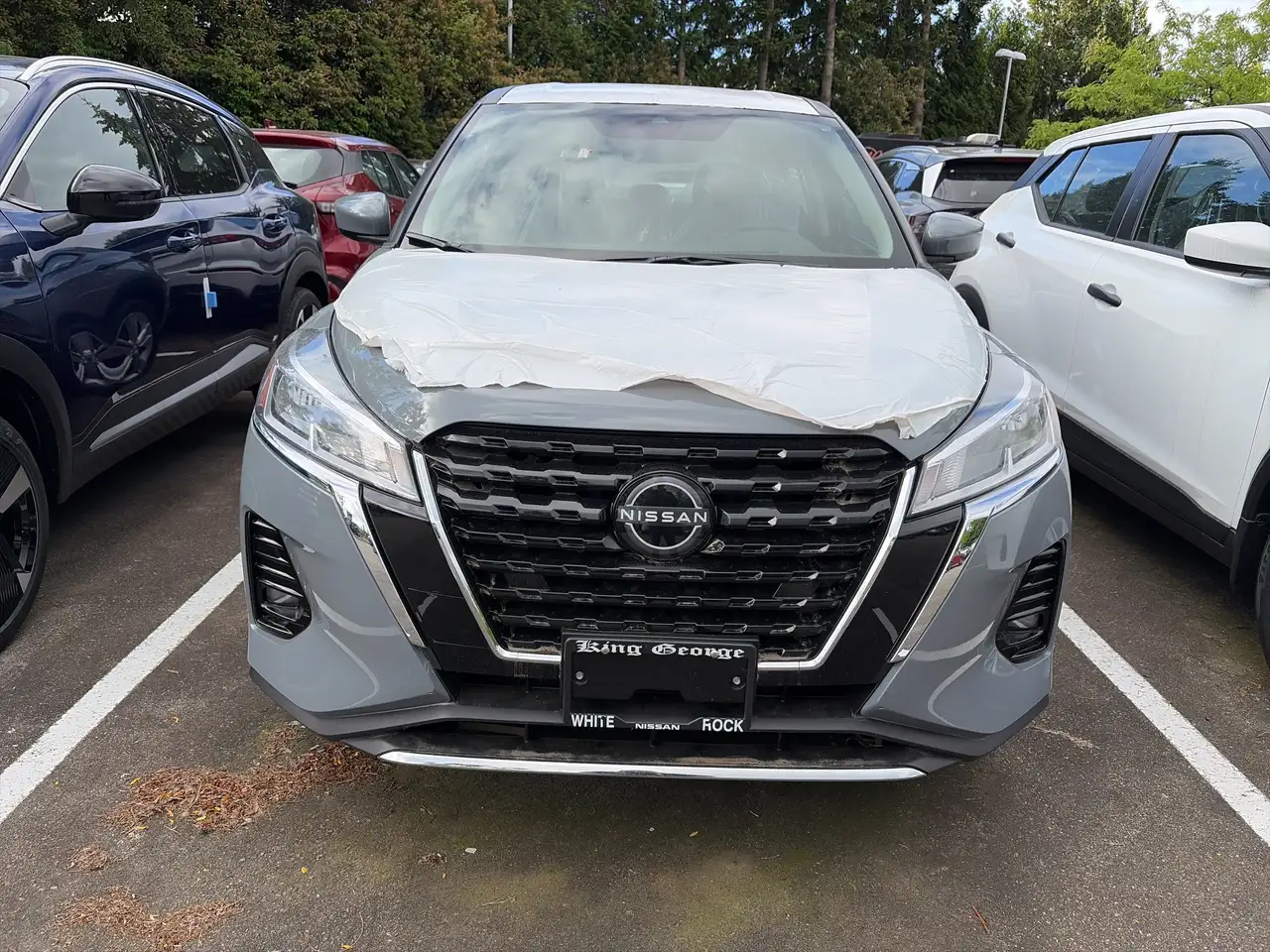 Nissan Kicks снимка Nissan Kicks