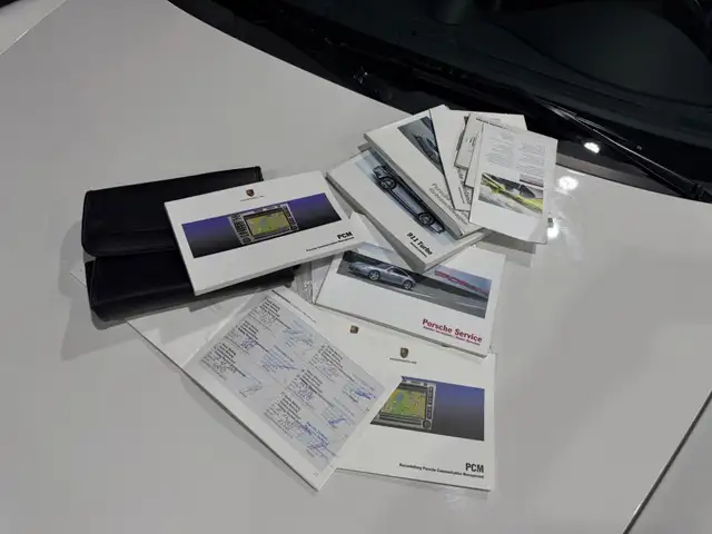 Porsche 911 view 15
