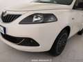 Lancia Ypsilon 1.0 firefly hybrid Gold s&s 70cv Білий - thumbnail 11