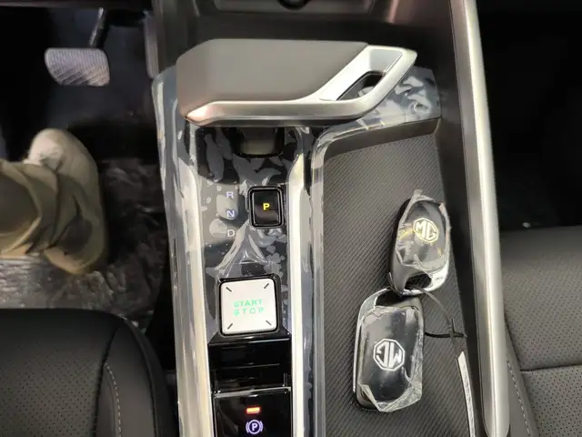 MG ZS view 19