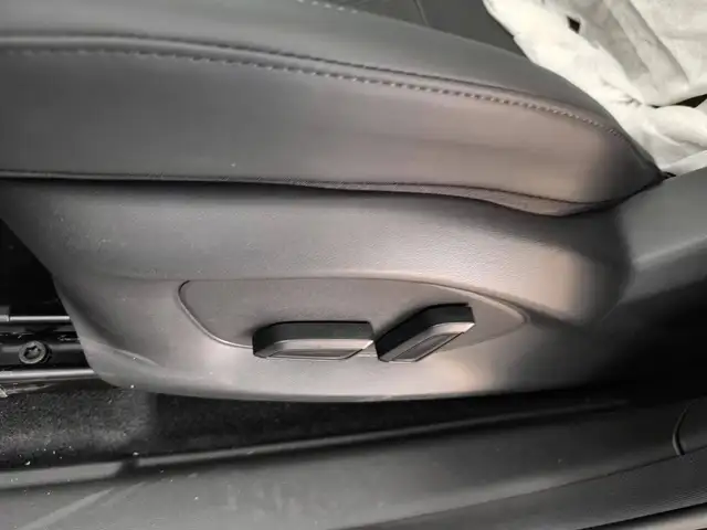 MG ZS view 24
