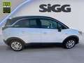 Opel Crossland 1.2 Turbo Elegance 2xKlima DynLicht LM Blanc - thumbnail 7