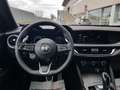 Alfa Romeo Stelvio Stelvio 2.2 t Veloce Q4 210cv auto Rosso - thumbnail 8