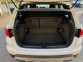 SEAT Arona 1.0 ECO TSI XPERIENCE 110CV Bianco - thumbnail 5