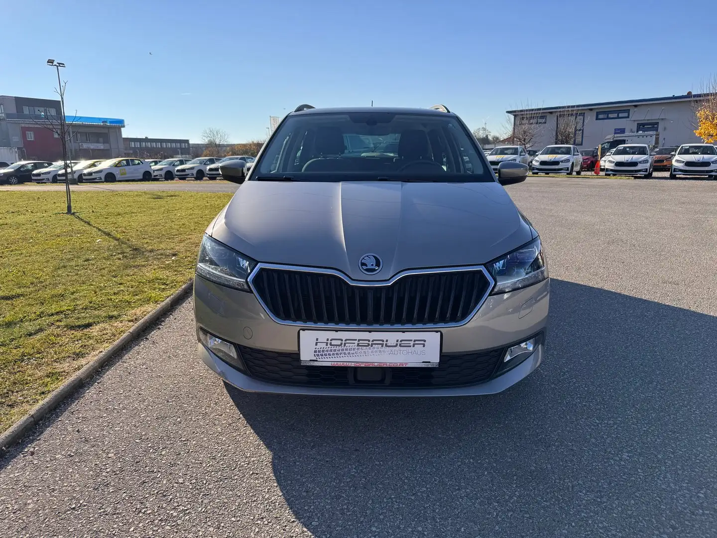 Skoda Fabia Style TSI Braun - 2