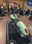Indian Scout Classic Ltd.+Tech AS Customs Edition Verde - thumbnail 4