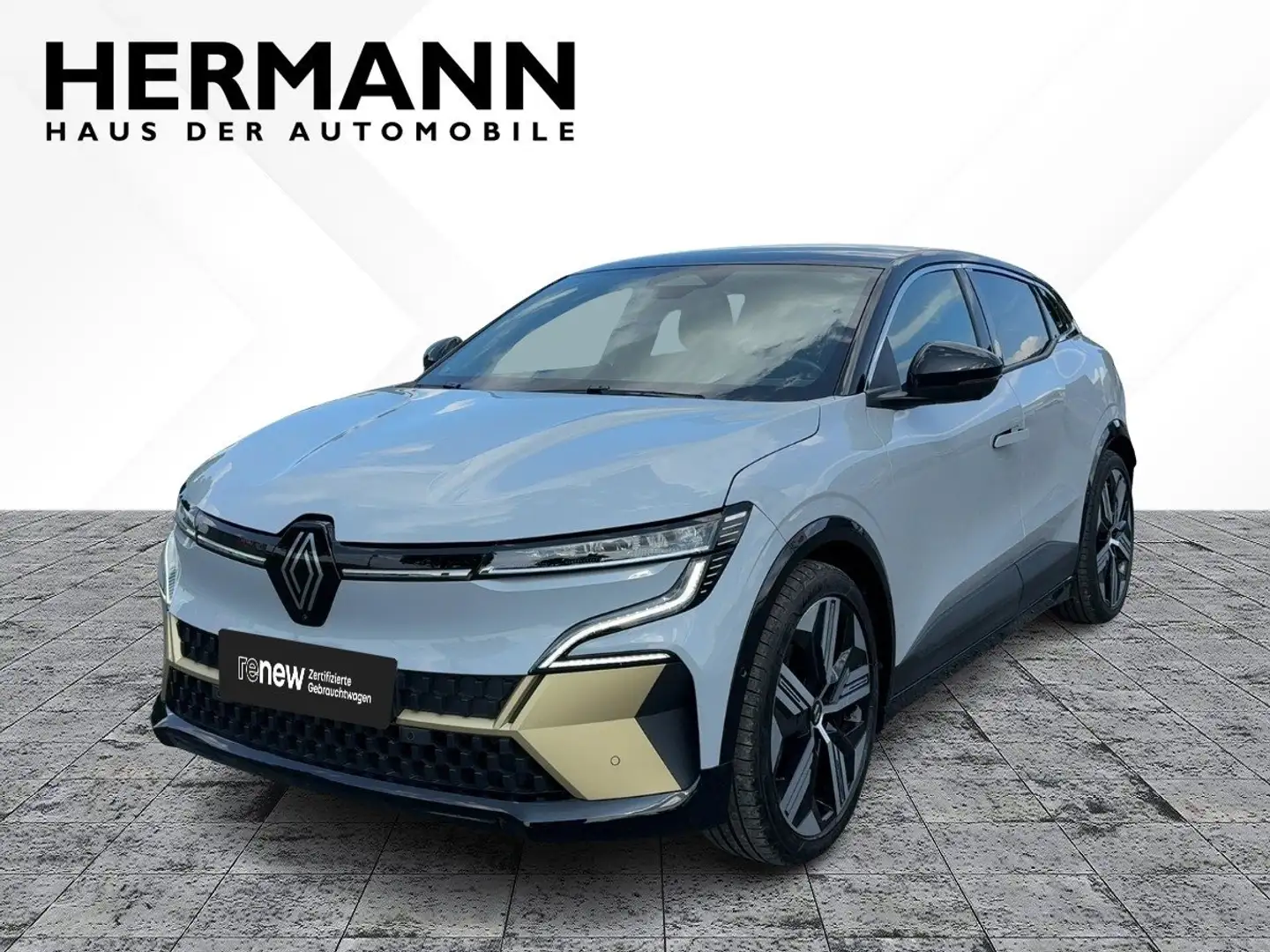 Renault Megane E-Tech Electric LED*RFK*ESP*TWA Schwarz - 2