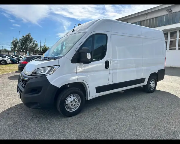 2024 Opel Movano in White for sale
