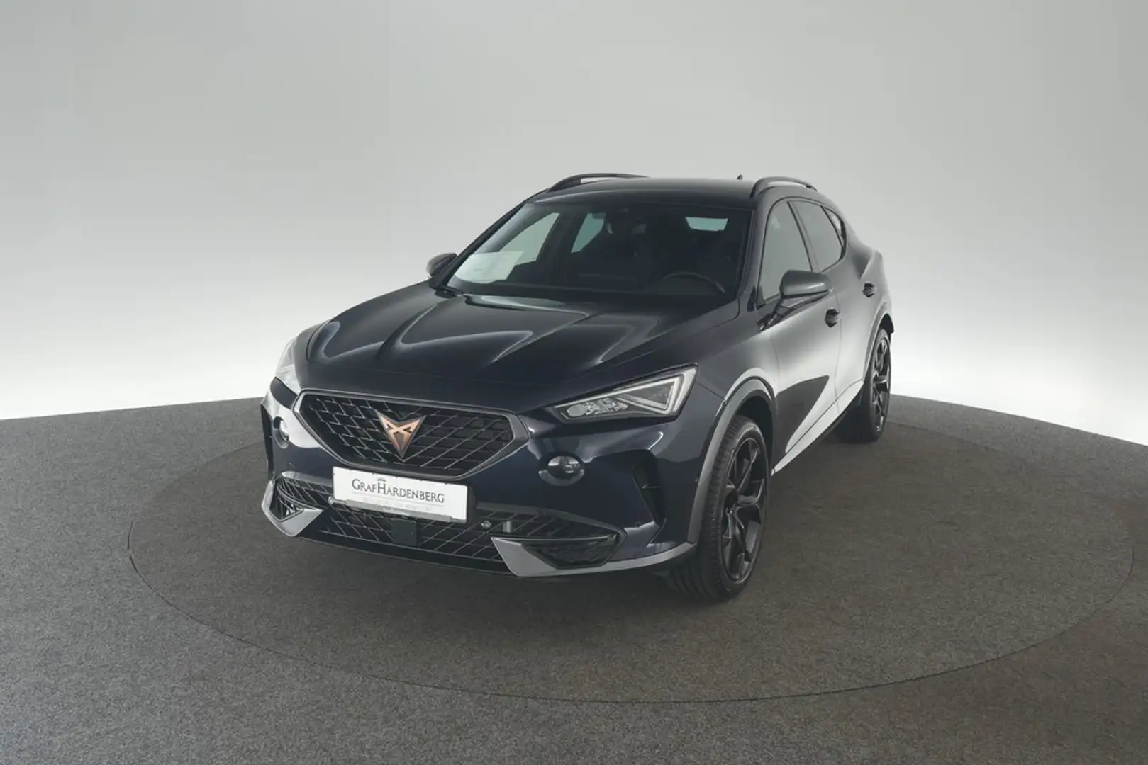 CUPRA Formentor 2.0 TSI VZ 4Drive DSG Lenkradheizung Blau - 1