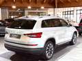 Skoda Kodiaq Drive 2.0 TDI 4x4 DSG TOP AUSSTATTUNG Silber - thumbnail 5