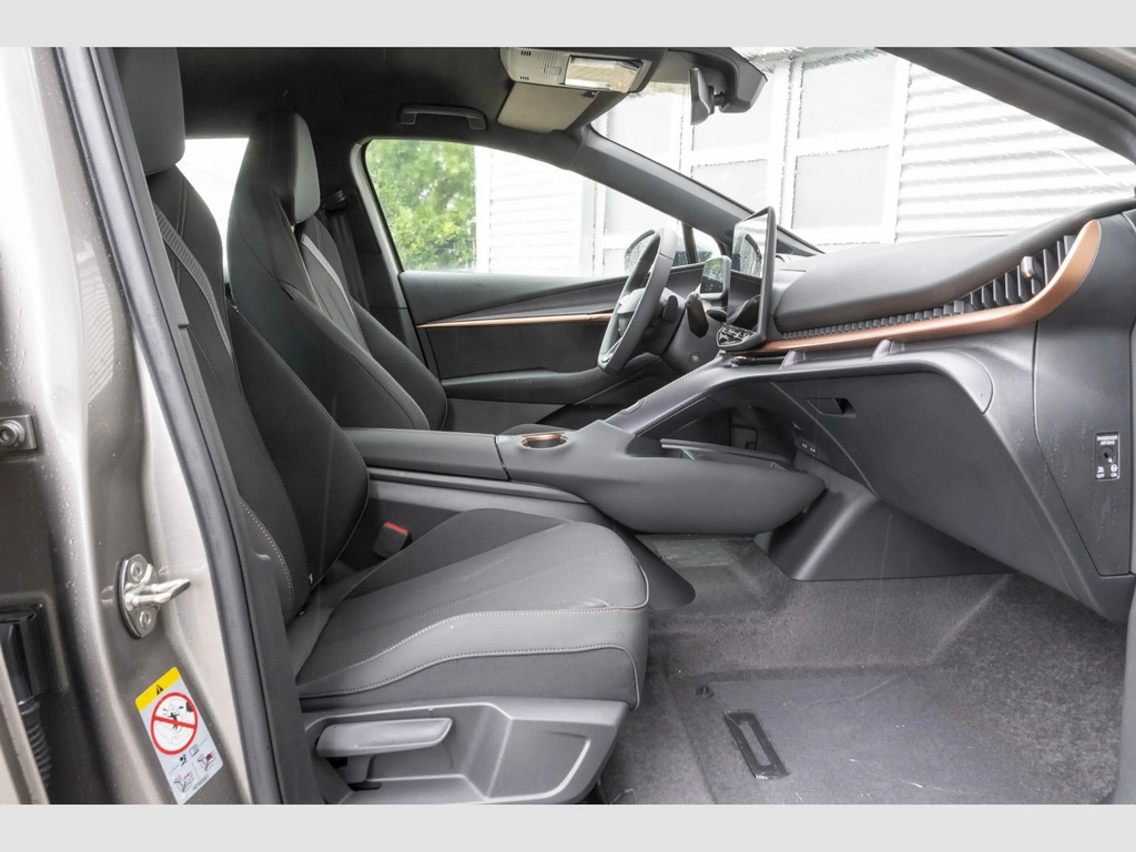 CUPRA Tavascan Endurance 210 kW — photo 8