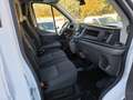 Ford Transit FT 350 L2 Van MHEV Trend 130 Blanc - thumbnail 12
