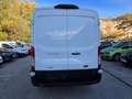 Ford Transit FT 350 L2 Van MHEV Trend 130 Blanc - thumbnail 7