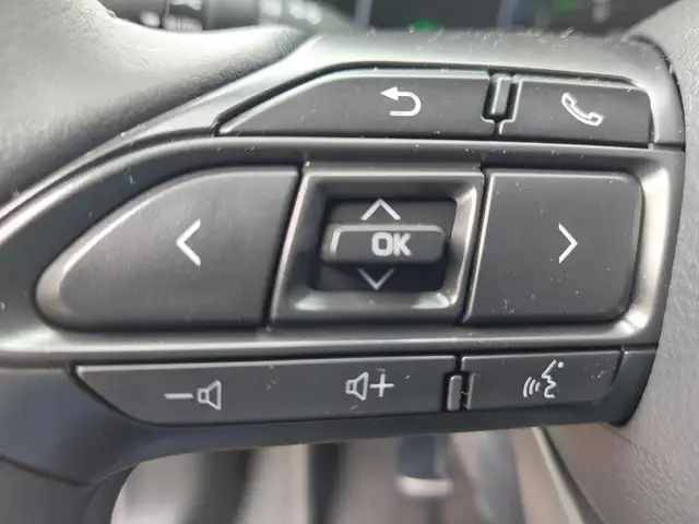 Toyota Yaris Cross view 17