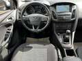 Ford Focus 1,5 TDCi  Business Kombi AHK abn SR+WRALU Weiß - thumbnail 13