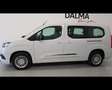 Toyota Proace CITY 1.5D 100CV S&S Blanco - thumbnail 9