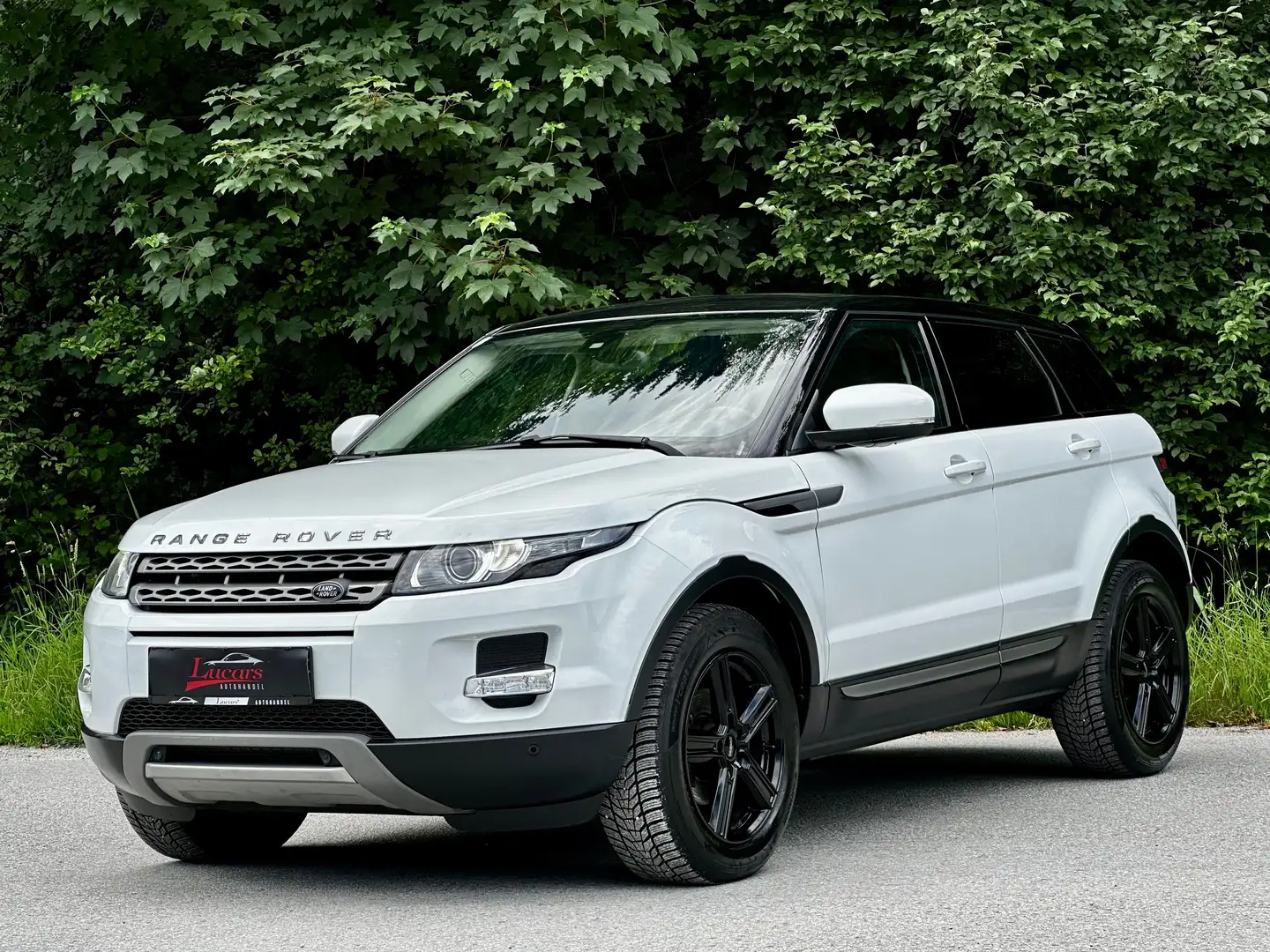 Land Rover Range Rover Evoque Pure 2,2 TD4 Aut. *ALLRAD*RFKAMERA*LEDER*NAVI*TOP Weiß - 1