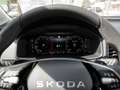 Skoda Karoq 2.0 TDI Tour NAVI AHK ACC FACEL. LED Weiß - thumbnail 11