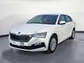 Skoda Scala 1.0 TSI SmartLink AHK Sitzheizung PDC Klim Weiß - thumbnail 2
