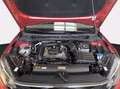 Volkswagen Taigo 1.0 tsi life 110cv Rouge - thumbnail 10