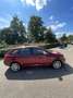 SEAT Ibiza 1.2 TSI / Parkeersensor / Exclusive pakket Rood - thumbnail 7
