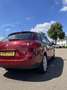 SEAT Ibiza 1.2 TSI / Parkeersensor / Exclusive pakket Rood - thumbnail 3