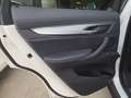 BMW X6 xDrive 30dA Blanco - thumbnail 16