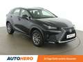 Lexus NX 300h NX 300h E-Four Business Line Noir - thumbnail 8