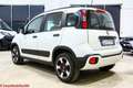 Fiat Panda 1.0 hybrid City Cross - Ok neopatentati Blanco - thumbnail 4