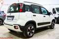 Fiat Panda 1.0 hybrid City Cross - Ok neopatentati Blanco - thumbnail 2