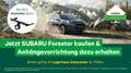 Subaru Forester 2.0i Premium Inkl. 8 Jahre Garantie OHNE Kilometer Marrone - thumbnail 2