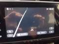 Dacia Duster 1.3 TCe 150 Prestige 2WD Rot - thumbnail 13