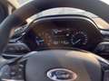 Ford Fiesta Cool & Connect 1,0 EcoBoost Start/Stop Blau - thumbnail 13