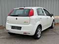 Fiat Grande Punto 1.4 8V 77PS Active (*TÜV*KLIMA*) Blanc - thumbnail 3